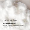 Bioelements Flash Foam Cleanser - 6.5 fl oz - Exfoliating Foam Cleanser for Oily, Combination & Dry Skin - Vegan, Gluten Free