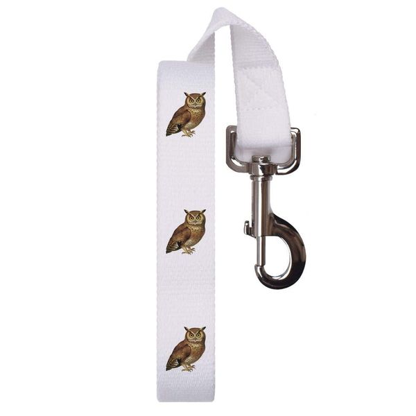 'Brown Owl' Dog Lead/Leash (DL00020659)