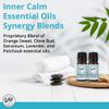mEssentials Exquisite Signature Essential Oil Blend Inner Calm, Two 10 ML Bottles