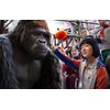 ミスターGO! [DVD]