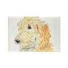 CafePress Cream Labradoodle 1 Rectangle Magnet, 3"x2" Refrigerator Magnet
