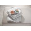 Sprig Focus Bath Bomb