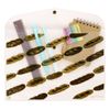 Sunstar Stationery Gochisou Flat Case Pan S8726060