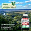 FITO MEDIC'S Lab | echinacea |180 Capsules | echinacea Supplement | Ultra high Absorption.