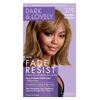 Dark & Lovely Color #379 Golden Bronze (3 Pack)