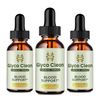 Glyco Clean Blood Support Advanced Formula Dietary Supplement Serum - (Pack 3)