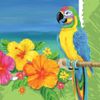 Creative Converting 16 Count 3-Ply Dessert/Lunch Napkins, Tropical Vacation