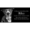 Pet Stone Memorial Grave Marker granite Plaque Human headstone Cocker Spaniel