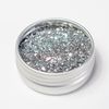Biodegradable Glitter (1/2 Oz Tin, Fine Silver Mix)