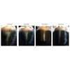 DAMO hair loss control scalp Tonic