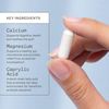 Nutritional Supplement 120 Count Digestive Health Support Gut Microbiome Balance