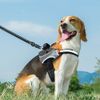 Ferplast Dog Harness HERCULES SMALL, Adjustable, Padded, Resistant, Scratchproof, Visible in the Dark, with Handle