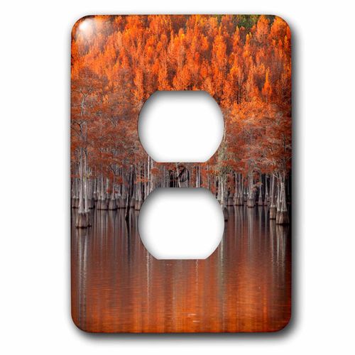 3dRose lsp_278906_6 USA, Georgia, Twin City, Cypress Trees in The Fall at Sunset Plug Outlet Cover
