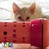 PIPOLINO Medium Movable Adjustable Dry Food Puzzle  Dispenser