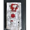 NWT Peanuts Snoopy Friends Summer Comics 2 Pack Kitchen Towels 16x26
