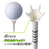 DAIYA GOLF TE-513 Tomahawk Tee Line & Short (Total 6 Pieces) White