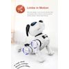 Remote Control Robot Dog Toy for Kids with Voice, Walking/Dancing/Interactive