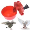 US! 10* Poultry/Quail Water Drinking Cups Chicken Hen Plastic Automatic Drinker