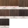 Aquadol wgt802 Wig, Bangs Wig, See-through, Natural, Bang, Arrangement, Point Wig - RLB. Real Brown