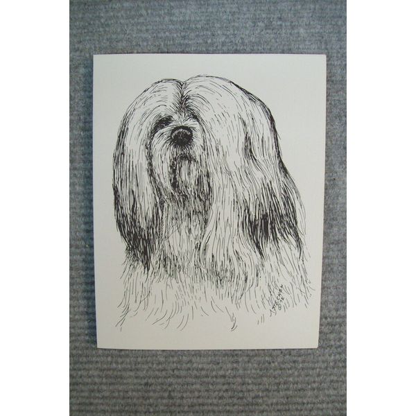 Lhasa Apso Pen and Ink Stationary Cards, Note Cards, Greeting Card.  20 pack.