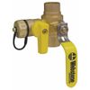 1" Sweat PRO-PAL Ball Valve w/Drain