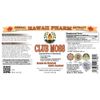 Club Moss (Lycopodium clavatum) Liquid Extract 4 oz