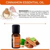 Natural Solution 100% Natural Pure Essential Oil - Uplifting & Relaxing Cinnamon