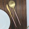 20 Piece Matte Gold Pink Flatware Set Pink Thin Handles Service For 4