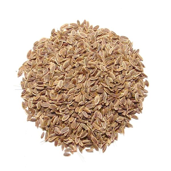 Dill Seed, Whole-1Lb-Whole Bulk Dill Seed