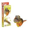 Frilled Lizard Cardboard Model Kit