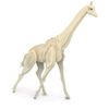 Quay Giraffe Woodcraft Construction Kit FSC
