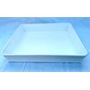 Instrument tray - 31cm x 26cm x 5cm (White)