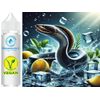 Eel Aroma Vegan - Sasami (DE) Concentrate - 100ml-
