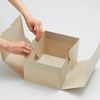 LIHIT LAB Roomy Folding Box, Comics, Pink A-796-12