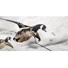 DEADLY DECOYS® Duck and Goose Flyer Decoys -1 Decoy