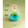 Venus Flytrap Terrarium, Signature Product, Zero Care Live Plant