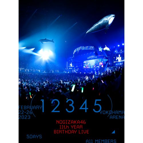 11th YEAR BIRTHDAY LIVE 5DAYS (DVD) (完全生産限定盤)