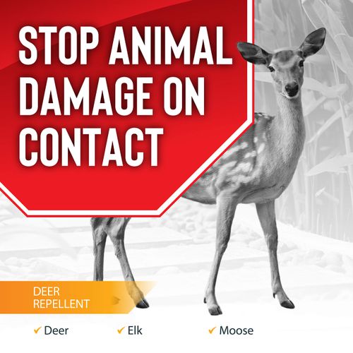 Deer Stopper, Liquid Animal Stopper Repellent, All Natural, Effective All Year Round, Safe for People and Pets, No Harsh Chemicals, Ready to Use, Deer & Moose Repellent - 32 oz. Trigger