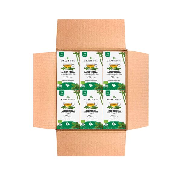 Organic Moringa Tea, Mint - Pack of 6 (150 tea bags)