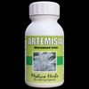 Artemisia Afra Capsules and Tablets 60's