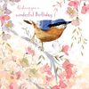 Wild & Serene Card Collection - Nuthatch