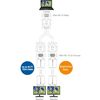 Cable Matters VGA Splitter Cable 0.3m for Screen Duplication, VGA Splitter Y Cable for Two Monitors