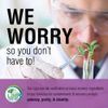 Solaray Artichoke Leaf Extract, 300mg, 60 Count