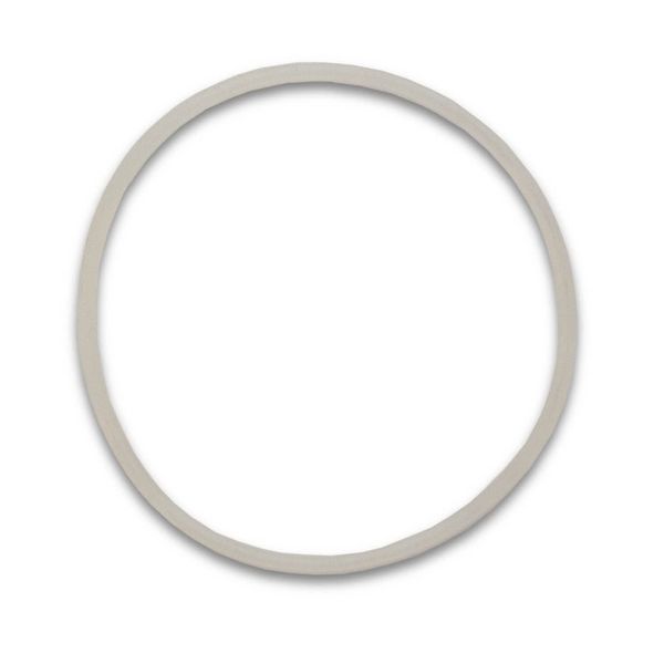 Faucet Mount O-Ring Set of 1 | Crystal Quest