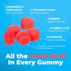 (2 Pack) Ashwagandha Gummies for Calm, Relaxation, Immune Support | (120 Count)