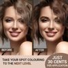 MinaiBrow Dark Brown Tint Kit | Natural Spot Coloring Brow Powder, Water & Smudge Proof Instant Brow Dye, 100% Gray Coverage, 30 Applications, Ammonia &, Vegan, Cruelty Free, Plant-Based