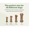Earthbones Dental Chews for Dogs 20-50lbs, 30 Bones