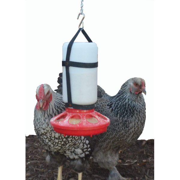 Your Happy Chicks 1 Qt. Hanging Harness with Plastic Bottle and Feeder Base