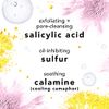 Mario Badescu Drying Lotion for All Skin Types| Blemish Spot Treatment with Salicylic Acid and Sulfur | Dries Surface Blemishes | 1 Fl Oz