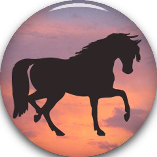 Golf Ball Marker 3/4", Assorted Animal Designs to Chose from - Black Horse Silhouette